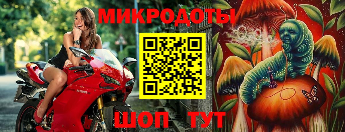 Псилоцибиновые грибы прущие грибы  хочу наркоту  Галлюциногенные грибы Cubensis  Тайшет  Вход с VPN 